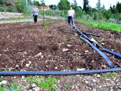 Silverio Liso e Stefania Cannone impegnati nell'irrigazione degli ortaggi della loro azienda agricola